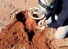 Gold Prospecting in the Western Australia