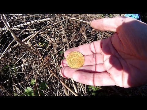 Une boursé avec de l’or, dans une forêt en Normandie, gold coin