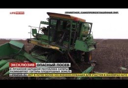 В полях Донбасса на минах подрываются комбайны